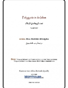 Polygynie in de Islam